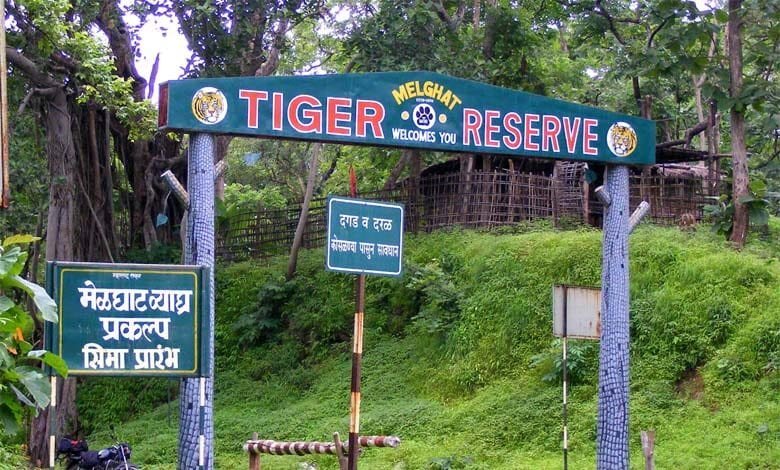 सातपुड्याचे रत्न : मेळघाट व्याघ्र प्रकल्प
