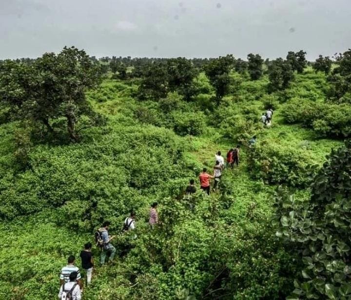 जैवविविधतेचा अनमोल ठेवा : पोहरा–मालखेड जंगल अतिरिक्त फोटो