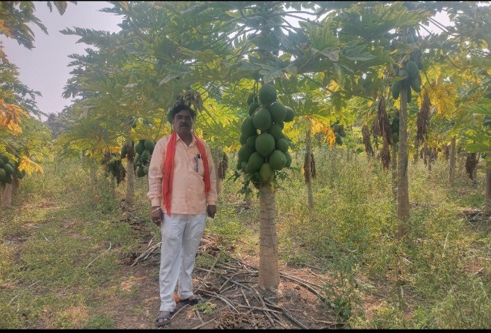 नाचनवेलमधील संजय पिंपळे म्हणजे शेतकरी आणि समाजासाठी प्रेरक व्यक्तिमत्त्व