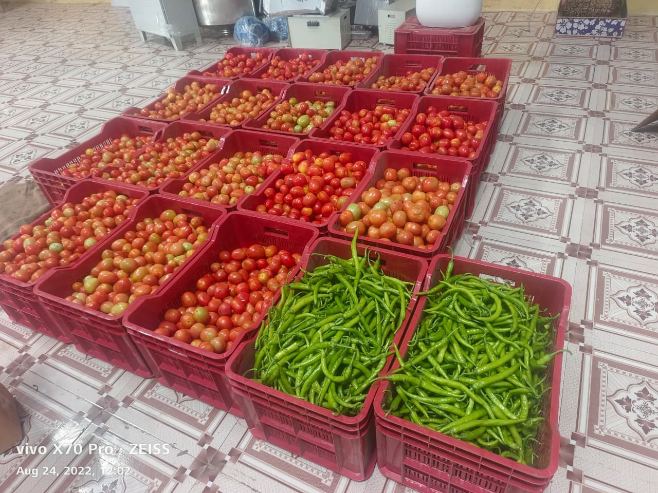 'अमृत'च्या व्याजपरतावा योजनेचा लाभ घेऊन उभारला टोमॅटो सॉस उत्पादनाचा उद्योग अतिरिक्त फोटो