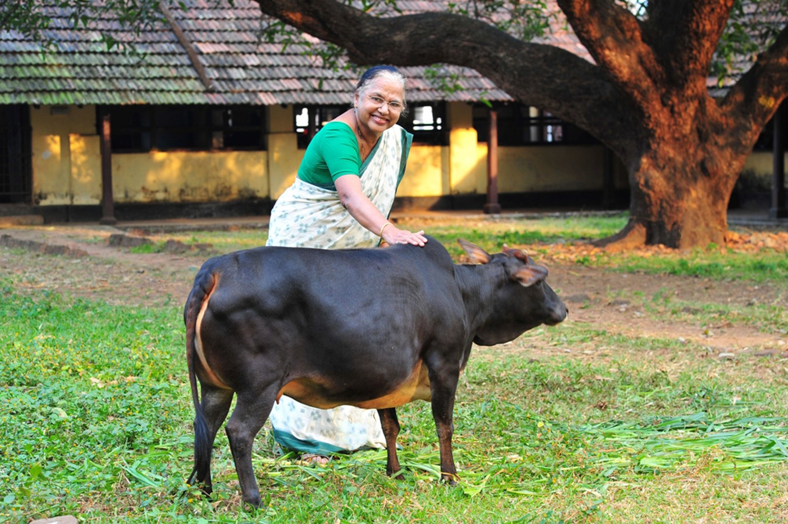 गोसंरक्षक डॉ. सोसम्मा इयपे