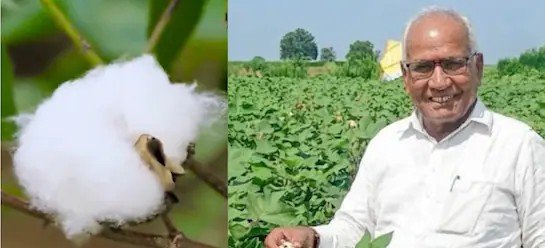 पद्मश्री डॉ. श्रीरंग लाड