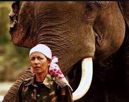 हत्तींची मैत्रीण पार्वती अतिरिक्त फोटो