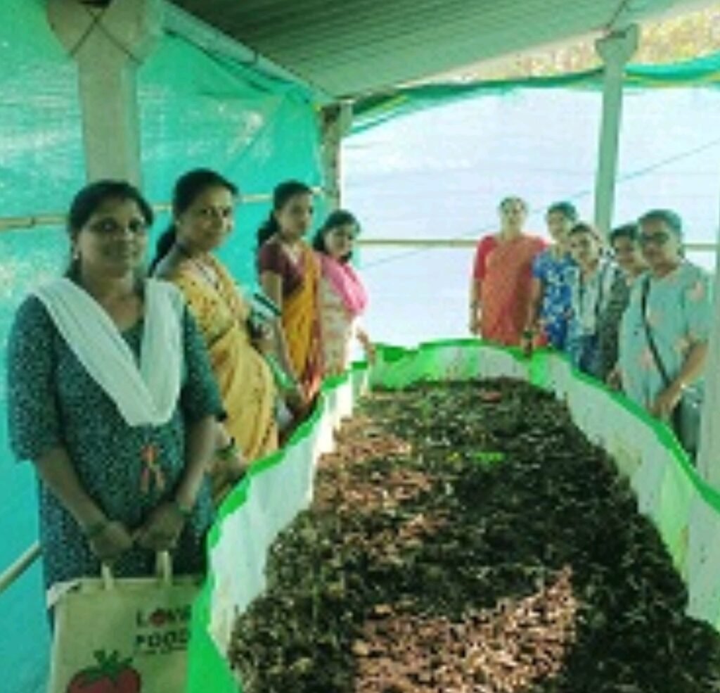 जिद्दीने मेहनत आणि योग्य दिशेने वाटचाल; भरभराटीला आला व्यवसाय अतिरिक्त फोटो